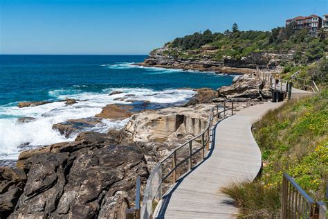 The Bondi To Coogee Walk At Last Studera Utomlands