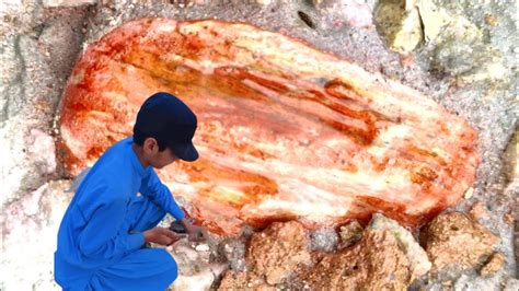 Exploring The Beauty Of A Giant Watermelon Tourmaline Encircled By