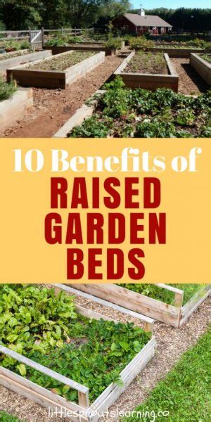 10 Benefits Of Raised Garden Beds