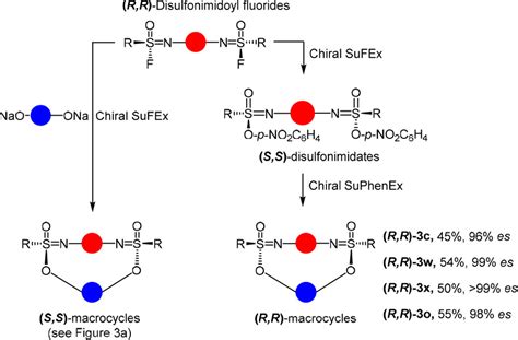 Synthesis Of Large Macrocycles With Chiral Sulfur Centers Via