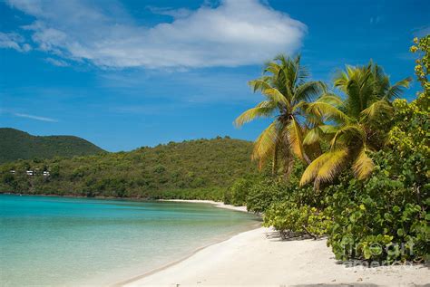 St John Usvi Cinnamon Bay