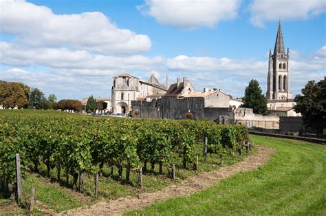 conference preview   depth   st emilion wine wit  wisdom