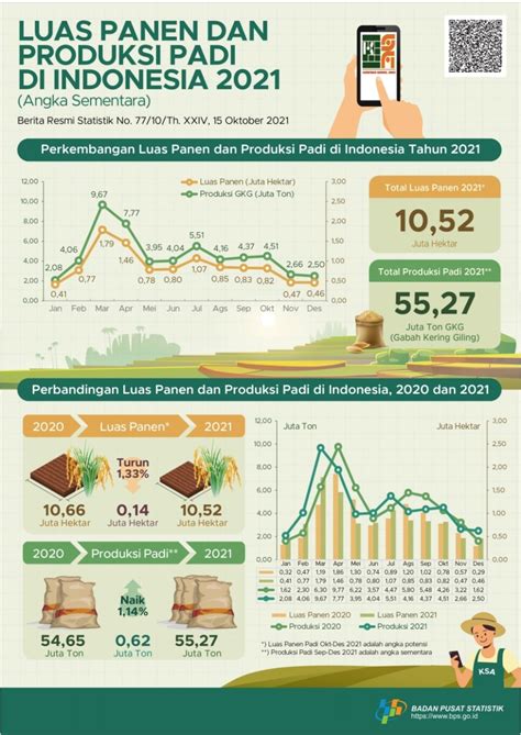 Menghitung Produktivitas Padi Nasional Kompas Id