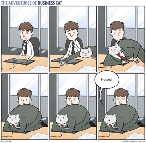 Business Cat