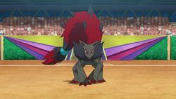 Gladion S Zoroark Bulbapedia The Community Driven Pok Mon Encyclopedia