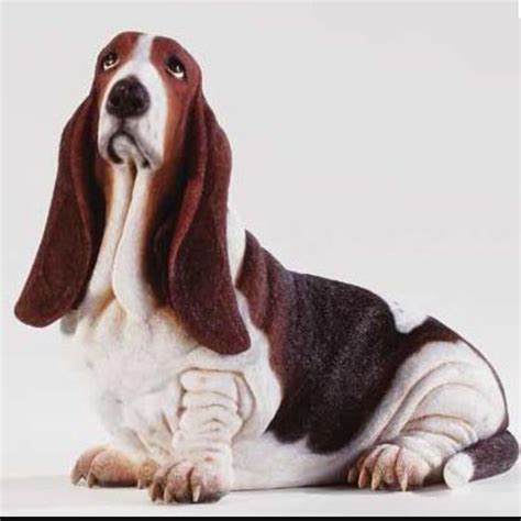 Hush Puppies Perro Hush basset hound perro afterpay peluche - Heru Prajimi