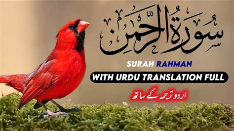 Surah Rahman With Urdu Translation Full Ep 00144 Most Heart