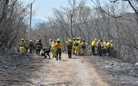 Se Suman 100 Brigadistas Nacionales Para Combatir Incendios Forestales