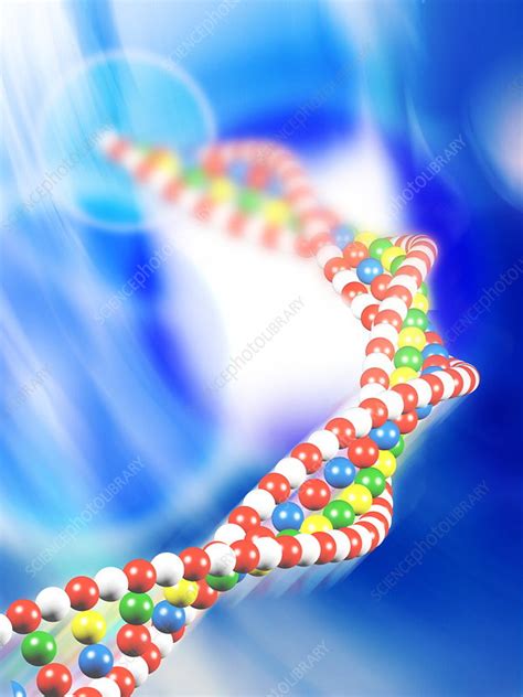 DNA Molecule Stock Image G110 0859 Science Photo Library