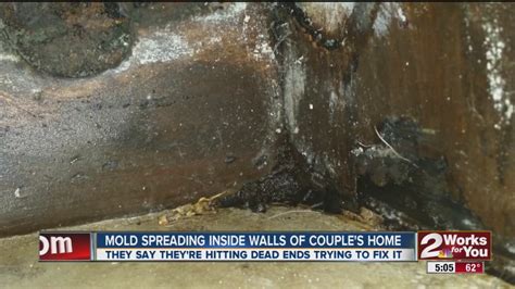 Mold Spreading Inside Walls Of Home Youtube