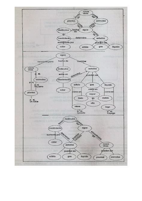 Ejemplos de mapas conceptuales | PDF