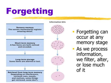 Ppt Forgetting Powerpoint Presentation Free Download Id3010891