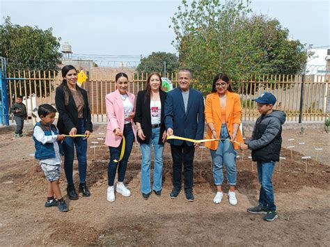 Realizan actividades por Día Internacional de la Silla de Ruedas NTR