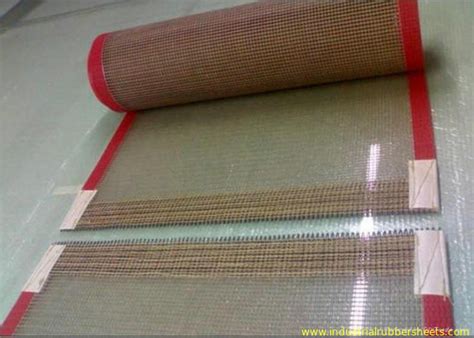 High Strength Glass Fiber Woven Fabric PTFE Mesh PTFE Mesh Screen