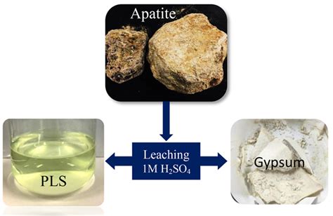 Selective Separation Of Light And Heavy Rare Earth Elements From The