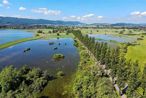 Radolfzell Stra E Nach Moos Halbseitig Gesperrt Stadt Gibt Keine