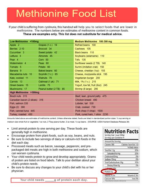 Cystinuria Handout | PDF | Bacon | Western Cuisine