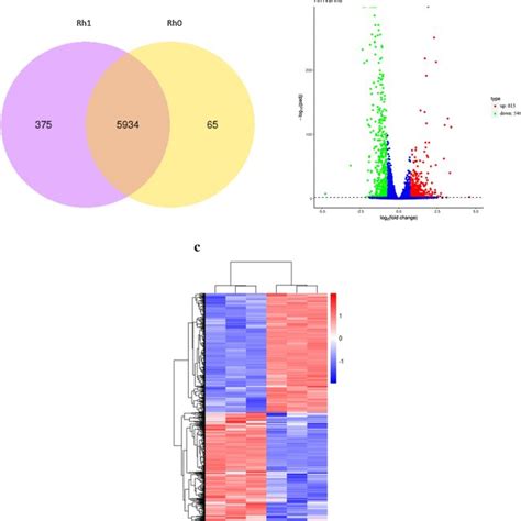 Differential Gene Expression Analysis A Venn Diagram Of Gene Download Scientific Diagram