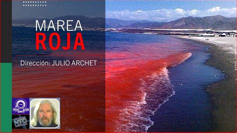 MAREA ROJA TOXINA PARALIZANTE DE LOS MOLUSCOS YouTube