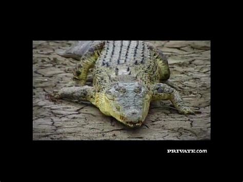 Gabriella Bond a un trio anal dans le désert XVIDEOS