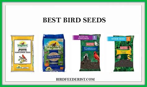 Best Seeds To Attract The Different Birds Bird Seeds Nyjer Seed