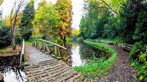 S A Redeschis Parcul Dendrologic Simeria Până în 15 Iunie Accesul