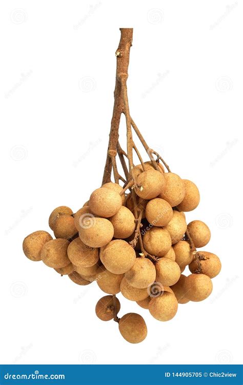 Bunch of Longan Thai Fruit with White Isolated Background Stock Image - Image of cultivation ...