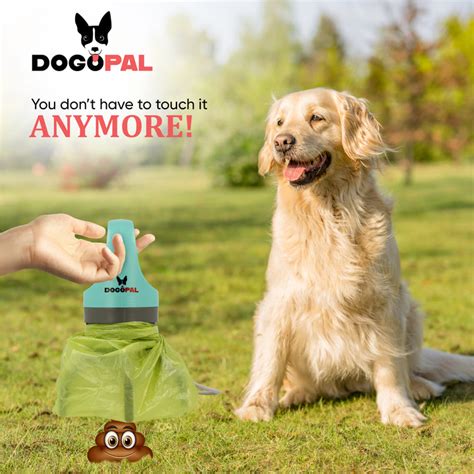 Dogopal Enhancing The Lives Of Dogs And Their Owners