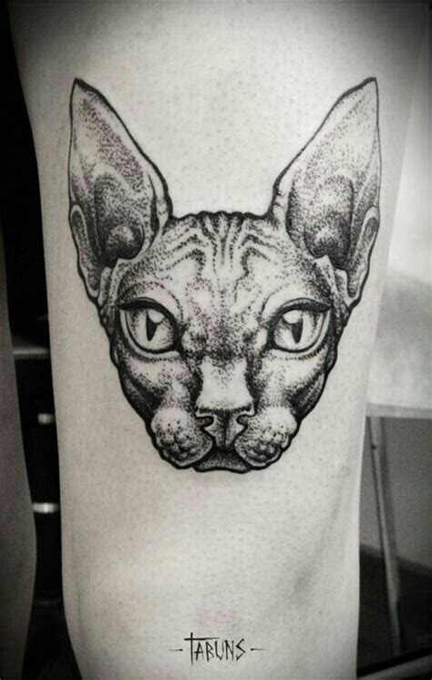 Pin By Ilgaz Aylak On Cat Tattoos Sphynx Tattoo Trendy Tattoos Tattoos