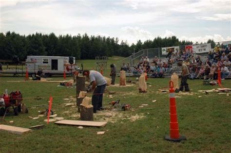 Chainsaw Carvers To Demonstrate Artistic Skills Park Rapids