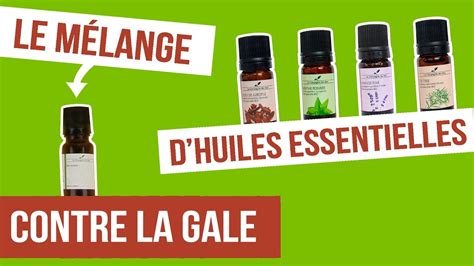 [diy] Gale Fabriquer Son Remède Naturel Aux Huiles Essentielles Youtube