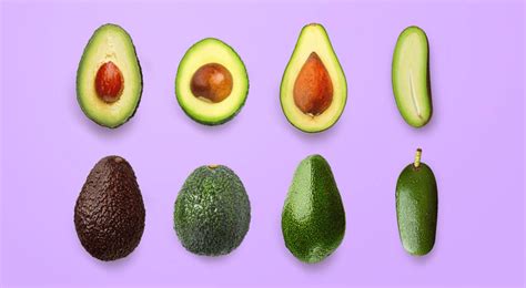 Derivados De La Palta