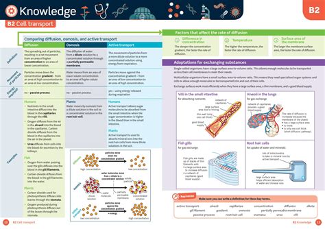 Oxford Revise Aqa Gcse Combined Science Trilogy Higher