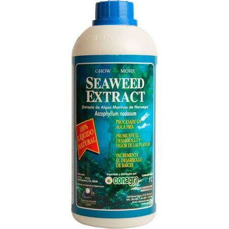 Seaweed Extract L Extracto Ascophyllum Nodosum Bioestimulante