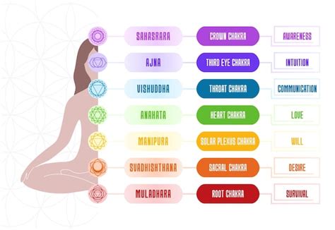 7 chakren diagramm mit bedeutungen und körpersilhouette vektor