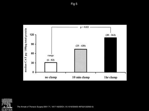 Efficient Naked Plasmid Cotransfection Of Lung Grafts By Extended Lung