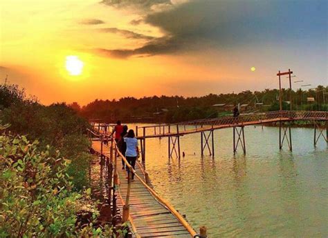 Lokasi Dan Tiket Masuk Hutan Mangrove Pantai Congot Kulon Progo Jogja