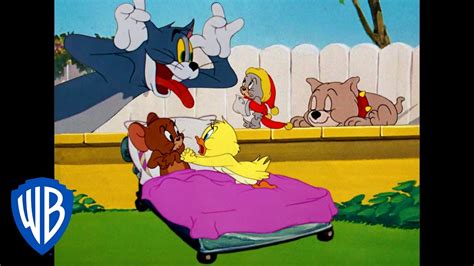 Top 999 Tom And Jerry Cartoon Images Amazing Collection Tom And Jerry Cartoon Images Full 4k