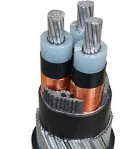 Polycab 3 Core Ht Aluminium Armoured Cables At Rs 142 Meter Polycab Armoured Cable Id