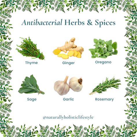 7 Herbs Spices With The Most Powerful Health Benefits Artofit