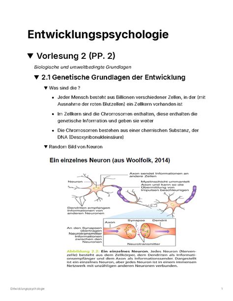 Entwicklungspsychologie E Abea C Bc F C Aa Cf E