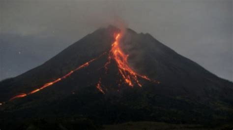 Hati Hati Merapi Luncurkan Guguran Lava 60 Kali Dalam Sepekan