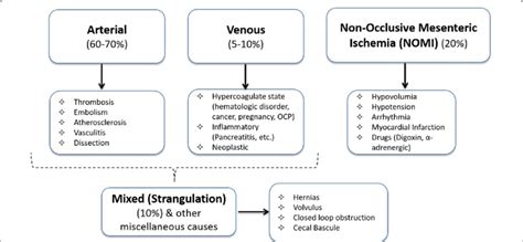 Overview of the causes of acute bowel ischemia | Download Scientific ...