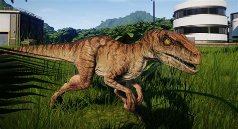 Fanmade Tlw Raptor Skin Jurassicworldevo