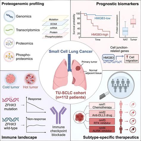 Proteogenomics Reveal Prognostic Markers Of Small Cell Lung Cancer