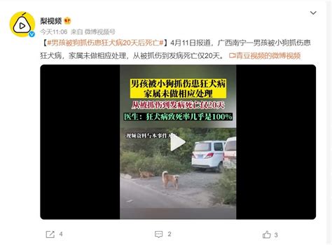 男孩被狗抓伤患狂犬病20天后死亡 医生：狂犬病致死率几乎100 快科技 科技改变未来