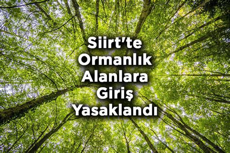 Siirt Te Ormanl K Alanlara Giri Yasakland Siirt Te Ormana Giri