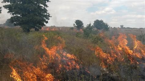 Public Spotlight Caddo Lbj National Grasslands Backcountry Hunters