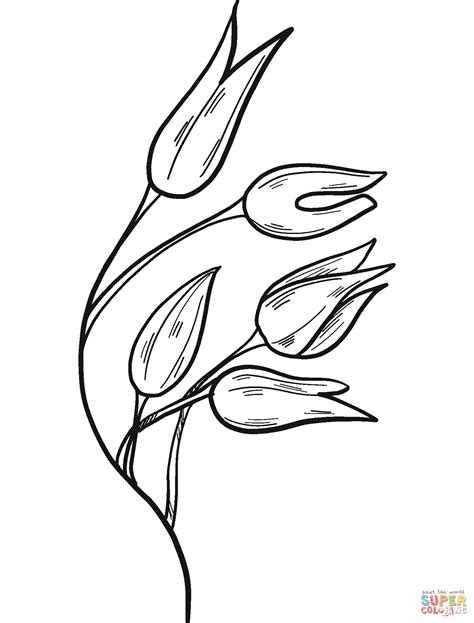 Wheat Coloring Page Free Printable Coloring Pages