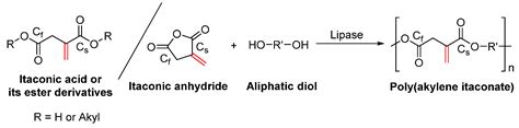 Polymers Free Full Text Enzymatic Synthesis Of Biobased Polyesters